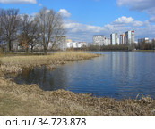 Большой Головинский пруд. Головинский район. Город Москва. Россия (2010 год). Стоковое фото, фотограф lana1501 / Фотобанк Лори