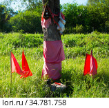 Red flags in honor of Gauchito Gil, Argentina. Стоковое фото, фотограф Яков Филимонов / Фотобанк Лори