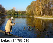 Старушка кормит уток. Парк Дружбы. Район Левобережный. Город Москва (2010 год). Редакционное фото, фотограф lana1501 / Фотобанк Лори