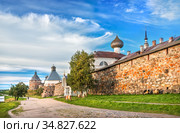 Башни Соловецкого монастыря и коровы у стен (2020 год). Стоковое фото, фотограф Baturina Yuliya / Фотобанк Лори