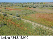 Aerial view on wooden footbridge through the reeds over flood-meadow. Kartal Eco Park, Orlovka village, Reni raion, Odessa oblast, Ukraine, Eastern Europe (2020 год). Стоковое фото, фотограф Некрасов Андрей / Фотобанк Лори