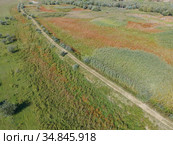 Aerial view on Kartal Eco Park, Orlovka village, Reni raion, Odessa oblast, Ukraine, Eastern Europe (2020 год). Стоковое фото, фотограф Некрасов Андрей / Фотобанк Лори