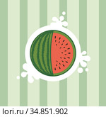 Red ripe watermelon vector isolated on green background. Стоковое фото, фотограф Эльвира Рахманова / Фотобанк Лори