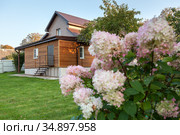 Country house with backyard, beautiful flowers are on foreground and empty green lawn is in front of cottage, nobody. Стоковое фото, фотограф Кекяляйнен Андрей / Фотобанк Лори