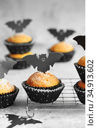 Halloween pumpkin muffins in black capsules decorated with cardboard bats. Festive Halloween cupcakes. Close-up view of delicious spooky halloween muffins on the grey table. Halloween recipes. Стоковое фото, фотограф Nataliia Zhekova / Фотобанк Лори
