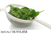 Spinach in douche on white table. Стоковое фото, фотограф Валерия Попова / Фотобанк Лори