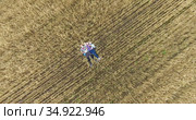 Father, mother and toddler daughter lying back on dry wheat field, top view from drone, quadcopter remote control is in men hands. Стоковое видео, видеограф Кекяляйнен Андрей / Фотобанк Лори