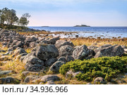 Большие камни Филипповских садков на Соловках (2020 год). Стоковое фото, фотограф Baturina Yuliya / Фотобанк Лори