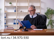 Old male judge working in courthouse. Стоковое фото, фотограф Elnur / Фотобанк Лори