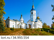 Иоанно-Богословский Череменецкий мужской монастырь. Череменец. Лужский район, Ленинградская область (2020 год). Стоковое фото, фотограф Сергей Афанасьев / Фотобанк Лори