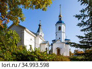 Иоанно-Богословский Череменецкий мужской монастырь. Череменец. Лужский район, Ленинградская область (2020 год). Стоковое фото, фотограф Сергей Афанасьев / Фотобанк Лори
