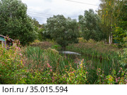 Река Малашка. Старая Русса, Новгородская область (2020 год). Стоковое фото, фотограф Александр Щепин / Фотобанк Лори