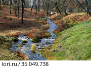 Ломоносов. Река Караста (2019 год). Редакционное фото, фотограф Валентина Качалова / Фотобанк Лори