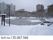 Недавно замерзший городской пруд. Троицкий пруд, Коньково, Москва, Россия. Предзимье. Конец ноября (2020 год). Стоковое фото, фотограф Сергей Рыбин / Фотобанк Лори
