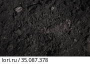 Chernozem, dark type of natural soil, texture. Стоковое фото, фотограф EugeneSergeev / Фотобанк Лори