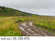 Раскисшая дорога через зеленое поле. Трудный путь. Стоковое фото, фотограф Яковлев Сергей / Фотобанк Лори