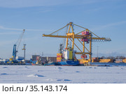 Зимний день на территории морского грузового терминала "Моби Дик". Кронштадт (2018 год). Редакционное фото, фотограф Виктор Карасев / Фотобанк Лори