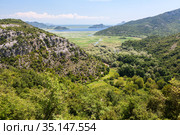 The Rijeka Crnojevica river mouth in lake Skadar. Wetlands around hills and mountains. Montenegro (2016 год). Стоковое фото, фотограф Кекяляйнен Андрей / Фотобанк Лори