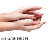 Female hands with woman's professional natural perfect nails manicure isolated on white background. Стоковое фото, фотограф Сергей Пристяжнюк (Serg Zastavkin) / Фотобанк Лори