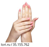 Female hands with woman's professional natural perfect nails manicure isolated on white background. Стоковое фото, фотограф Сергей Пристяжнюк (Serg Zastavkin) / Фотобанк Лори