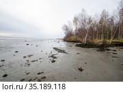 Побережье моря во время отлива. Литоральная зона. Стоковое фото, фотограф Яковлев Сергей / Фотобанк Лори