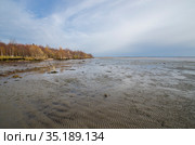 Побережье моря во время отлива. Литоральная зона. Стоковое фото, фотограф Яковлев Сергей / Фотобанк Лори