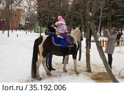 Родители сажают ребенка на лошадь и фотографируют.Парк. Липецк. (2021 год). Редакционное фото, фотограф Евгений Будюкин / Фотобанк Лори