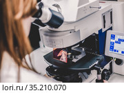 Helth care professional microscoping on hi-tec fluorescent microscope. Стоковое фото, фотограф Matej Kastelic / Фотобанк Лори