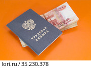 Много денег и трудовая книжка. Доходы работника по трудовому договору. Стоковое фото, фотограф Наталья Осипова / Фотобанк Лори