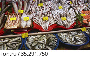 Closeup of various fresh sea fish for sale on counter in Istanbul bazaar, price tags in Turkish. Стоковое видео, видеограф Яков Филимонов / Фотобанк Лори