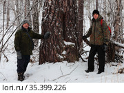 Двое мужчин у огромной сосны. Стоковое фото, фотограф Анатолий Матвейчук / Фотобанк Лори