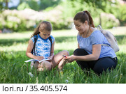 Mother assisting her daughter to sketching at nature, an adult woman and pre teen girl sitting in green grass. Стоковое фото, фотограф Кекяляйнен Андрей / Фотобанк Лори