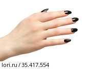 Female hand with black nails manicure isolated on white background. Стоковое фото, фотограф Сергей Пристяжнюк (Serg Zastavkin) / Фотобанк Лори
