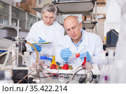 Scientists taking notes while checking agricultural products. Стоковое фото, фотограф Яков Филимонов / Фотобанк Лори