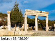 Remains of marble pillars of agora in ancient city of Kibyra, Turkey. Стоковое фото, фотограф Яков Филимонов / Фотобанк Лори