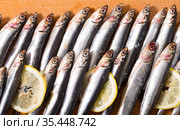 Top view of pickled anchovies with lemon. Стоковое фото, фотограф Яков Филимонов / Фотобанк Лори