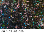 Abstract paint background. Color texture. Brushstrokes of paint. Modern art. Contemporary art. Colorful canvas. Watercolor drips. Brush strokes of multicolored acrylic paint on the canvas. Стоковое фото, фотограф Nataliia Zhekova / Фотобанк Лори