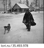 View of Bilibino township in winter, a man with a dog. Редакционное фото, фотограф Варфоломей Тетерин / Фотобанк Лори