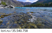 Горный Алтай осенью. Река Катунь. Altai mountains in autumn. Katun river. Стоковое видео, видеограф Евгений Романов / Фотобанк Лори