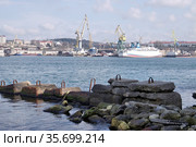 Севастопольская бухта. Крым, Севастополь (2021 год). Редакционное фото, фотограф Илюхина Наталья / Фотобанк Лори