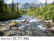 Mountain river with rapid stream flowing in forests of Khibiny massif, the Kola peninsula, Russia. Стоковое фото, фотограф Кекяляйнен Андрей / Фотобанк Лори