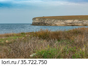 Nature landscape of the Tarkhankutsky Nature Reserve in the Crimea (2020 год). Стоковое фото, фотограф Владимир Ушаров / Фотобанк Лори