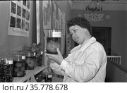 Взрослая женщина стоит в помещениях Академии Наук, несколько стеклянных колб с овощами в жидкости рядом с ней, исследование растительного мира, ЯФАН, Якутия, май 1962. Редакционное фото, фотограф Варфоломей Тетерин / Фотобанк Лори