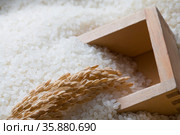 Rice. Стоковое фото, агентство Ingram Publishing / Фотобанк Лори