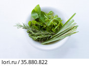 Sage. Стоковое фото, агентство Ingram Publishing / Фотобанк Лори