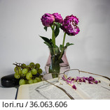 Натюрморт ''Забытая книга'' Стоковое фото, фотограф Евгений Будюкин / Фотобанк Лори