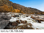 Ilgumen rapids on the Katun river. Altai republic. Russia. Стоковое фото, фотограф Наталья Волкова / Фотобанк Лори