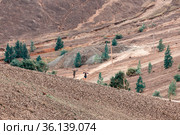 Mining lifeless dumps after quarrying in the city of Karabash, Chelyabinsk region in Russia. Стоковое фото, фотограф Акиньшин Владимир / Фотобанк Лори