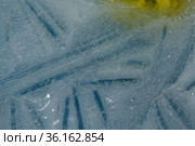 Ice texture with small round air bubbles trapped inside. Стоковое фото, фотограф Tamara Kulikova / Фотобанк Лори