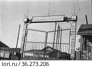 Тындинская автобаза. Редакционное фото, фотограф Варфоломей Тетерин / Фотобанк Лори